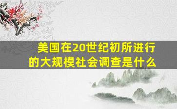 美国在20世纪初所进行的大规模社会调查是什么