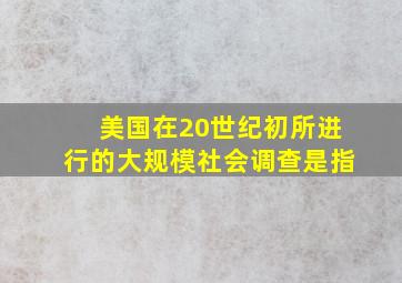 美国在20世纪初所进行的大规模社会调查是指