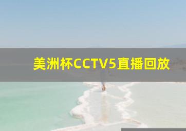 美洲杯CCTV5直播回放