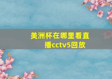 美洲杯在哪里看直播cctv5回放