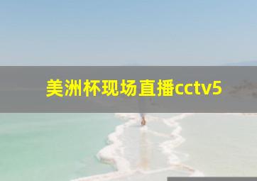 美洲杯现场直播cctv5