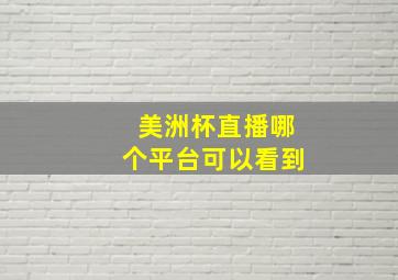 美洲杯直播哪个平台可以看到