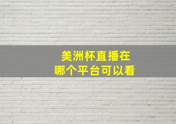 美洲杯直播在哪个平台可以看