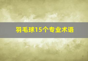 羽毛球15个专业术语