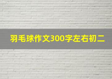 羽毛球作文300字左右初二