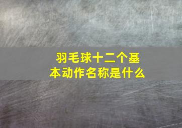 羽毛球十二个基本动作名称是什么