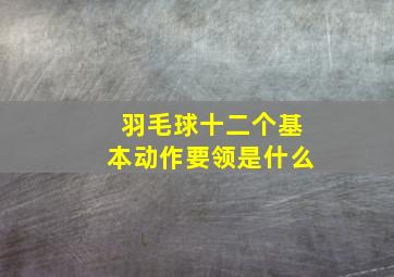 羽毛球十二个基本动作要领是什么