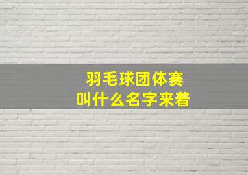 羽毛球团体赛叫什么名字来着