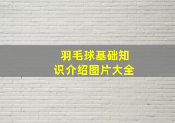 羽毛球基础知识介绍图片大全