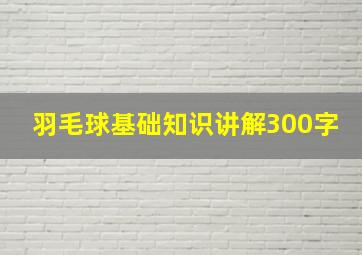 羽毛球基础知识讲解300字