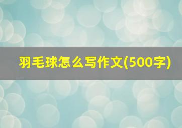 羽毛球怎么写作文(500字)