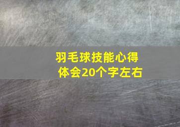 羽毛球技能心得体会20个字左右