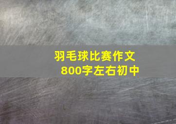 羽毛球比赛作文800字左右初中