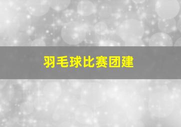 羽毛球比赛团建