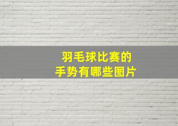 羽毛球比赛的手势有哪些图片