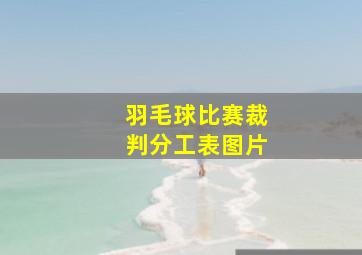 羽毛球比赛裁判分工表图片