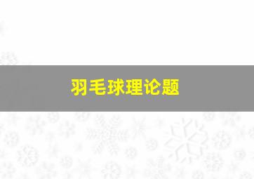 羽毛球理论题