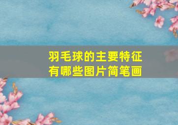 羽毛球的主要特征有哪些图片简笔画