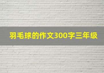 羽毛球的作文300字三年级