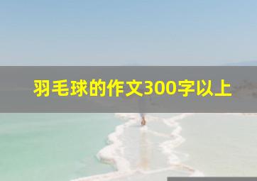 羽毛球的作文300字以上