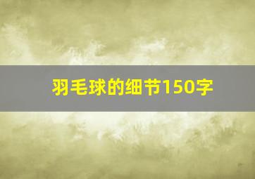 羽毛球的细节150字