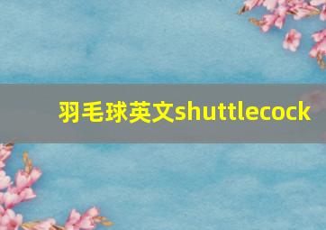 羽毛球英文shuttlecock