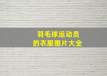 羽毛球运动员的衣服图片大全