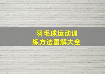 羽毛球运动训练方法图解大全