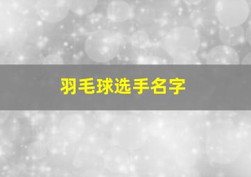 羽毛球选手名字