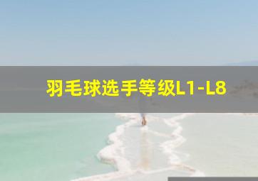 羽毛球选手等级L1-L8