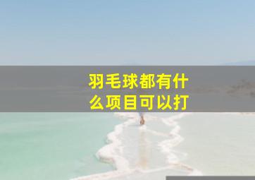 羽毛球都有什么项目可以打