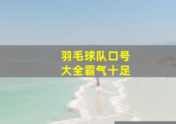 羽毛球队口号大全霸气十足