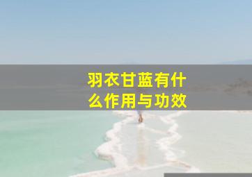 羽衣甘蓝有什么作用与功效