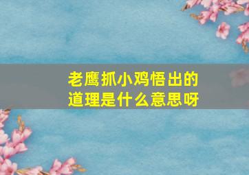 老鹰抓小鸡悟出的道理是什么意思呀