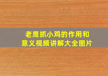 老鹰抓小鸡的作用和意义视频讲解大全图片