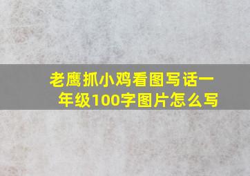 老鹰抓小鸡看图写话一年级100字图片怎么写