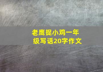 老鹰捉小鸡一年级写话20字作文