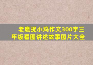 老鹰捉小鸡作文300字三年级看图讲述故事图片大全