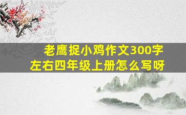 老鹰捉小鸡作文300字左右四年级上册怎么写呀