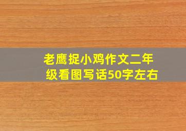 老鹰捉小鸡作文二年级看图写话50字左右