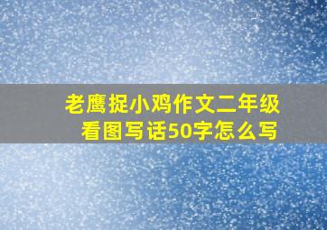 老鹰捉小鸡作文二年级看图写话50字怎么写