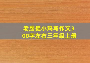 老鹰捉小鸡写作文300字左右三年级上册