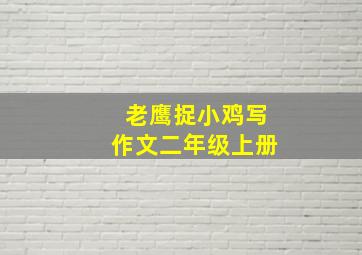 老鹰捉小鸡写作文二年级上册