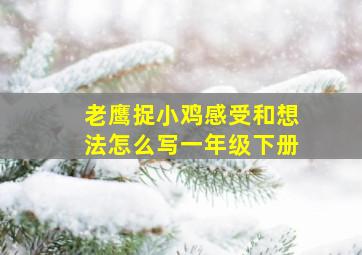 老鹰捉小鸡感受和想法怎么写一年级下册