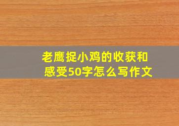 老鹰捉小鸡的收获和感受50字怎么写作文