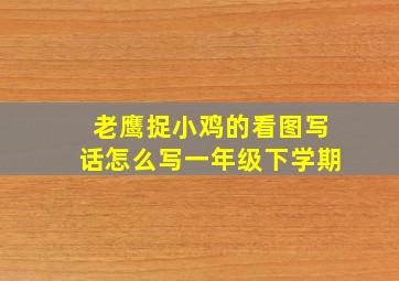 老鹰捉小鸡的看图写话怎么写一年级下学期