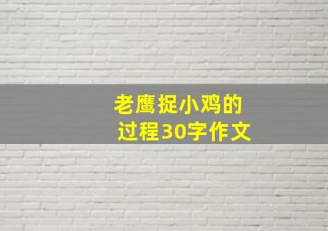 老鹰捉小鸡的过程30字作文