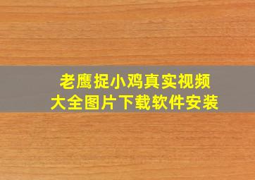 老鹰捉小鸡真实视频大全图片下载软件安装