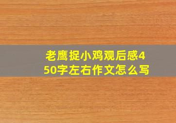 老鹰捉小鸡观后感450字左右作文怎么写