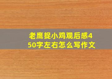 老鹰捉小鸡观后感450字左右怎么写作文